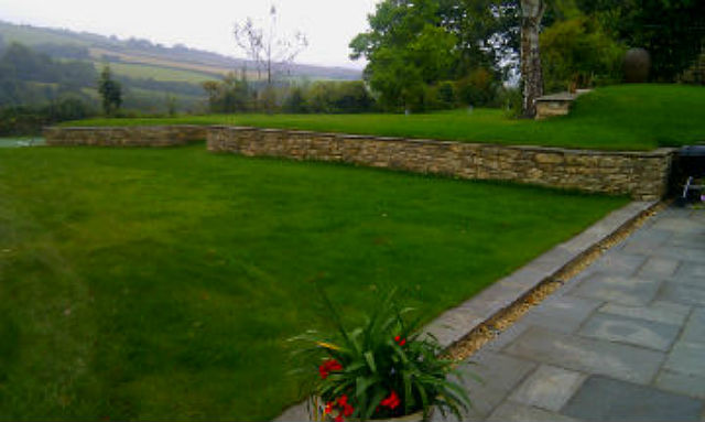 photo of garden and wall